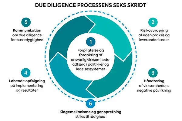 læs mere om de 6 skridt modellen